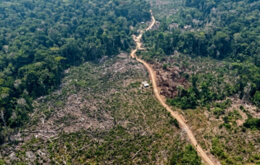 Embargo aplicado pelo Ipaam restringe atividades, mas não significa perda da propriedade