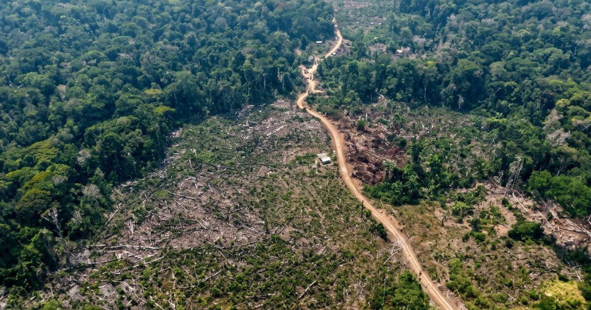 Embargo aplicado pelo Ipaam restringe atividades, mas não significa perda da propriedade