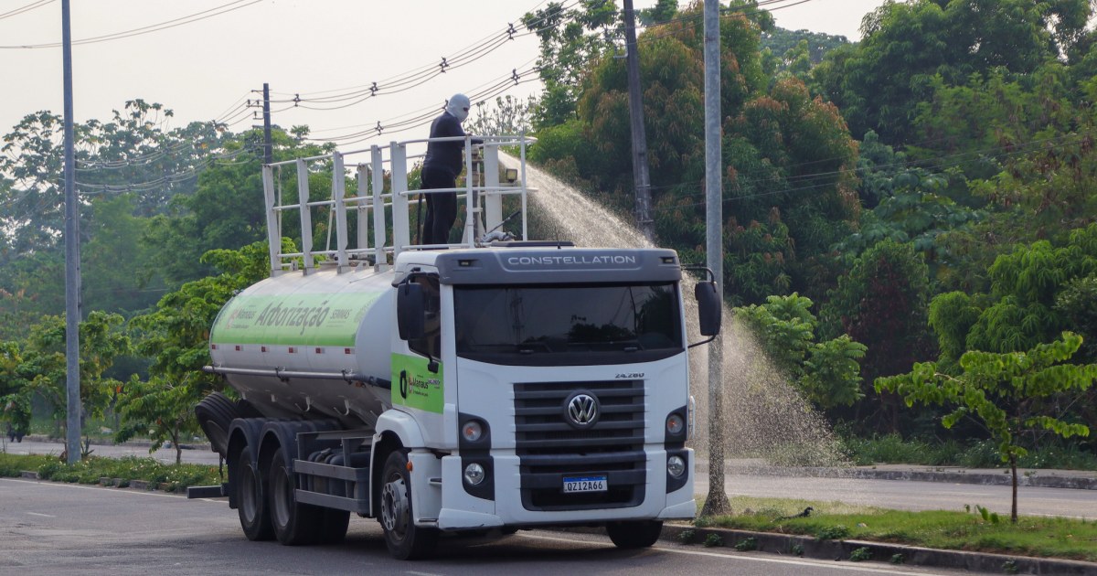Manaus registra plantio de mais de 45 mil mudas em 2026, informa Semmas